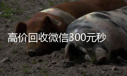 高价回收微信300收购微信号秒结账元秒结（高价回收vx300元秒结）